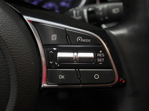 Kia Ceed 1,6 GDI Plug-In Hybrid EX SW DCT Premium Pack 2h pktauto, vm. 2020, 58 tkm (16 / 21)