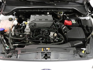 Ford Focus 1,0 EcoBoost 125hv M6 ST-Line Wagon, vm. 2019, 37 tkm (19 / 24)